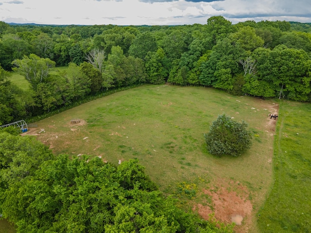 0 Franklin Pike, Lewisburg, TN 37091 - photo 19