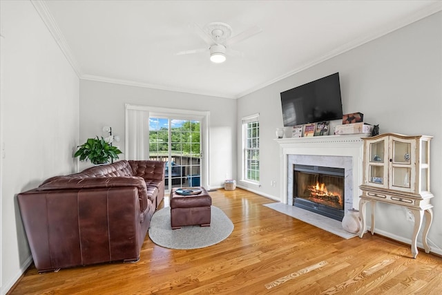 2359 Lewisburg Pike, Franklin, TN 37064 - photo 19