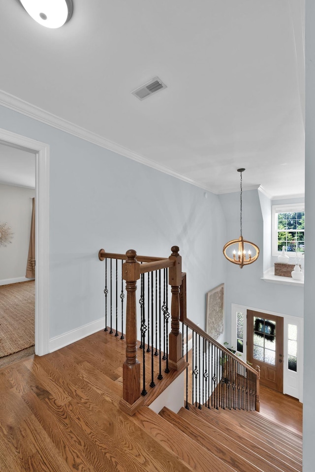 508 Serviceberry Dr, Murfreesboro, TN 37128 - photo 20