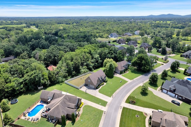 508 Serviceberry Dr, Murfreesboro, TN 37128 - photo 38