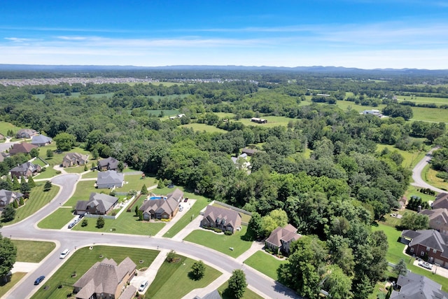 508 Serviceberry Dr, Murfreesboro, TN 37128 - photo 40
