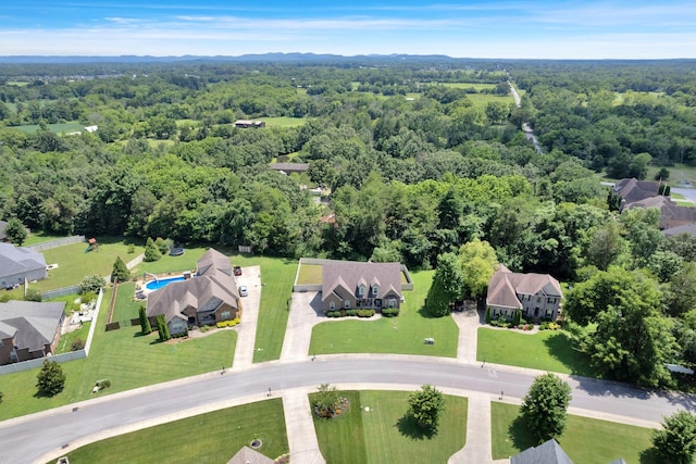 508 Serviceberry Dr, Murfreesboro, TN 37128 - photo 37