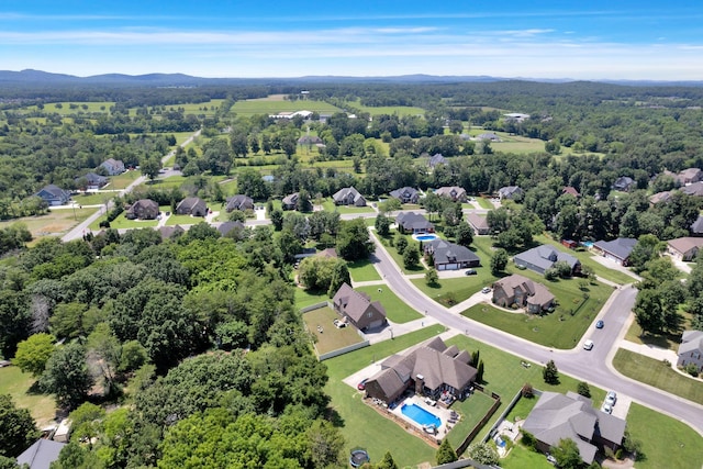 508 Serviceberry Dr, Murfreesboro, TN 37128 - photo 39