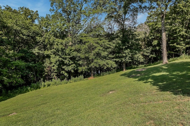 145 Highbridge Dr, Smithville, TN 37166 - photo 52