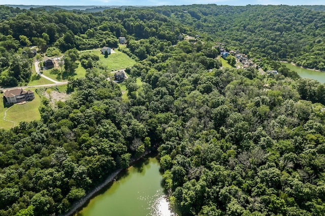145 Highbridge Dr, Smithville, TN 37166 - photo 53