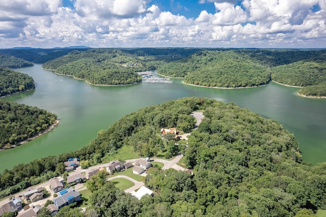 145 Highbridge Dr, Smithville, TN 37166 - photo 56