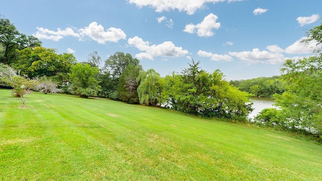 1481 Calgy Dr, Gallatin, TN 37066 - photo 5