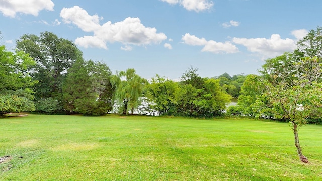 1481 Calgy Dr, Gallatin, TN 37066 - photo 20