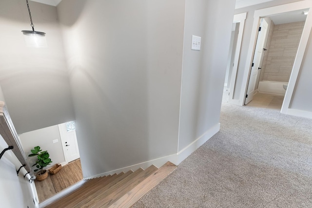 7138 Gentle Rain Rd, Knoxville, TN 37920 - photo 29