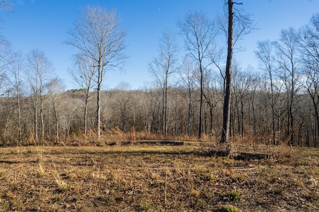164 Lewis Cir, Dover, TN 37058 - photo 16