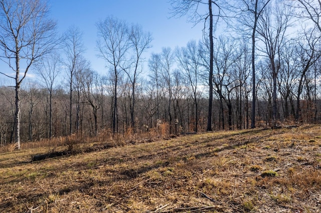 164 Lewis Cir, Dover, TN 37058 - photo 15