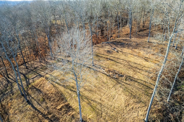 164 Lewis Cir, Dover, TN 37058 - photo 17