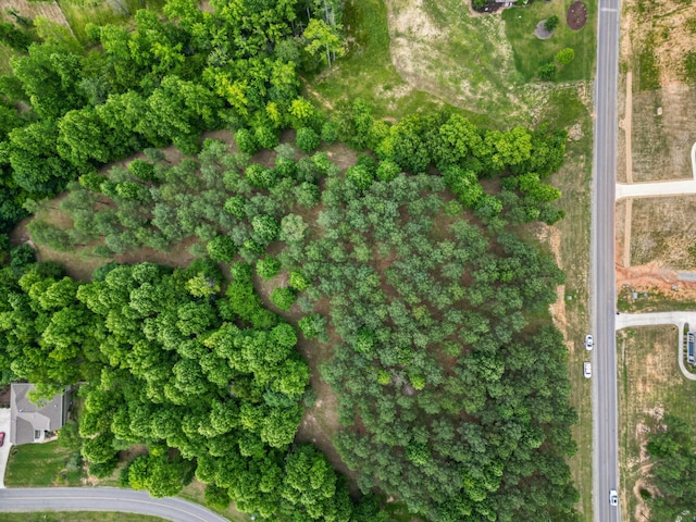 1711 Raulston Falls Rd, Jasper, TN 37347 - photo 2