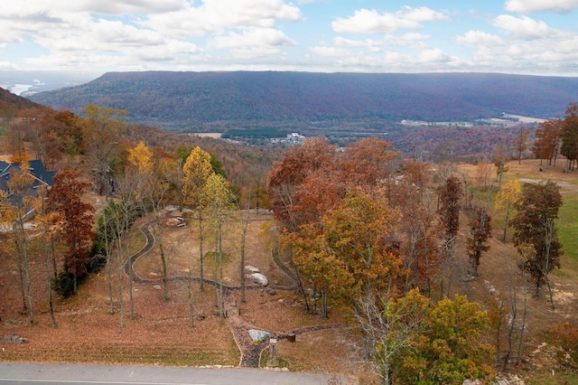 1711 Raulston Falls Rd, Jasper, TN 37347 - photo 15