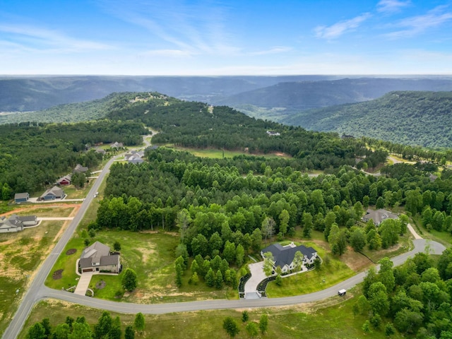 1711 Raulston Falls Rd, Jasper, TN 37347 - photo 6