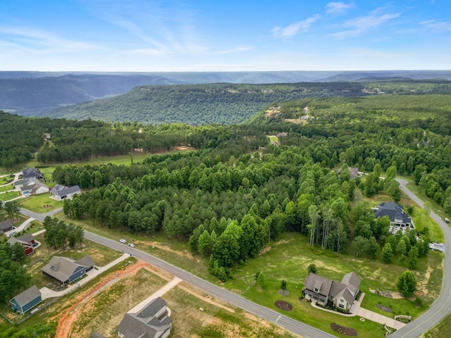 1711 Raulston Falls Rd, Jasper, TN 37347 - photo 5