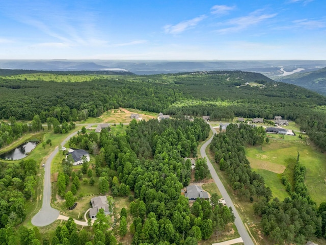 1711 Raulston Falls Rd, Jasper, TN 37347 - photo 8
