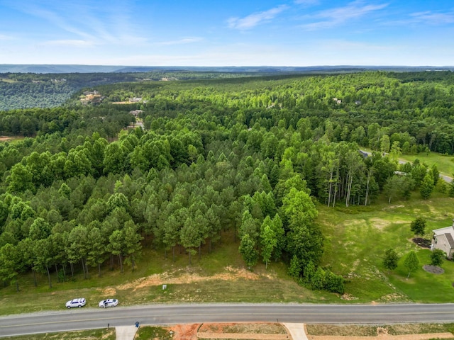 1711 Raulston Falls Rd, Jasper, TN 37347 - photo 4