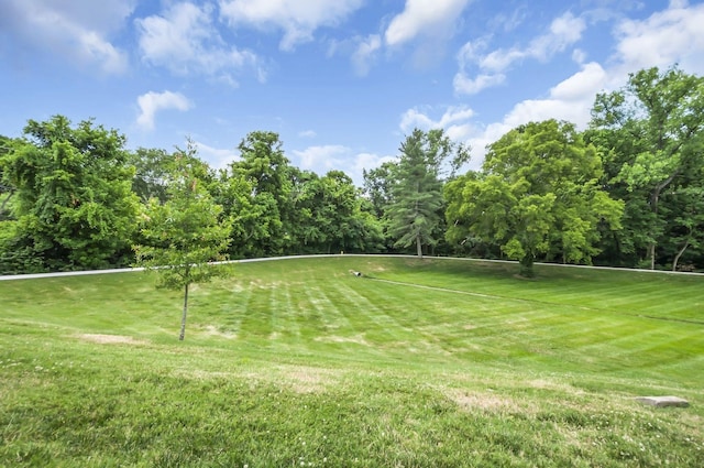 814 Marquette Dr, Nashville, TN 37205 - photo 33