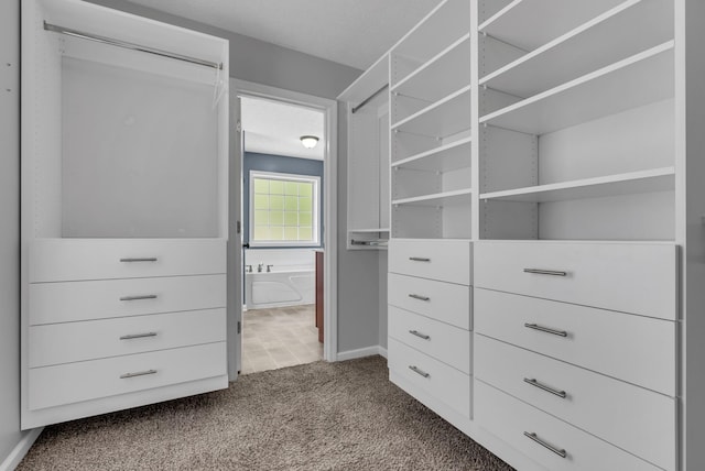 125 W Observatory Dr, Clarksville, TN 37040 - photo 28