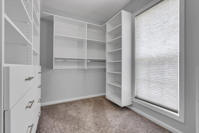 125 W Observatory Dr, Clarksville, TN 37040 - photo 29