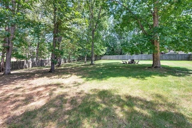 7320 Damsel Ln, Fairview, TN 37062 - photo 55