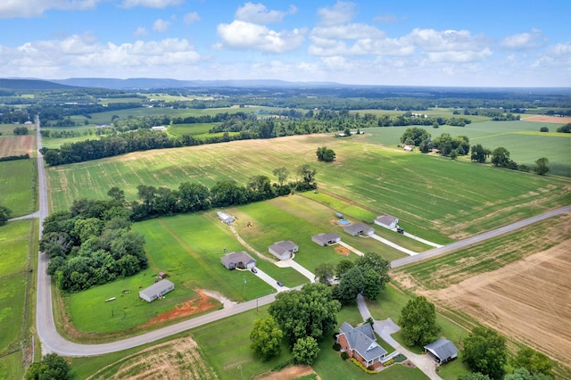 3232 Owl Hollow Rd, Belvidere, TN 37306 - photo 37