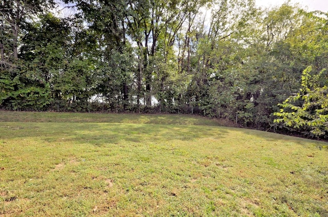 2690 Elkmont Dr, Clarksville, TN 37040 - photo 27