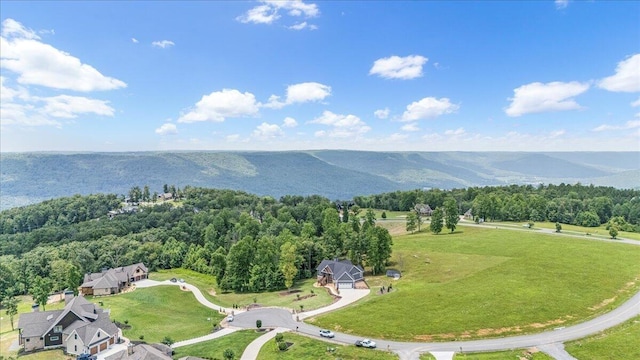 300 Dragging Canoe Dr, Jasper, TN 37347 - photo 48