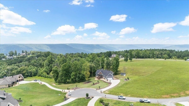 300 Dragging Canoe Dr, Jasper, TN 37347 - photo 45