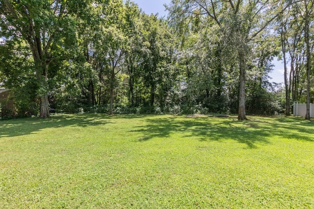 106 Barley Dr, Christiana, TN 37037 - photo 32