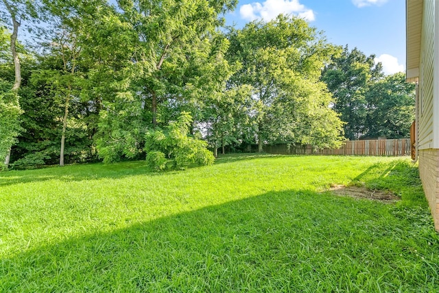 3281 N Senseney Cir, Clarksville, TN 37042 - photo 29