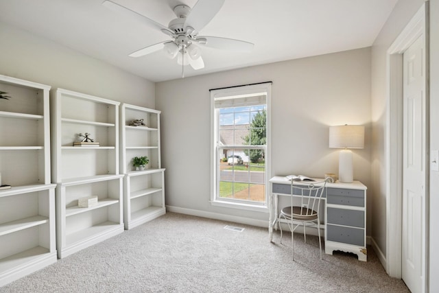1039 Persimmon Dr, Spring Hill, TN 37174 - photo 50