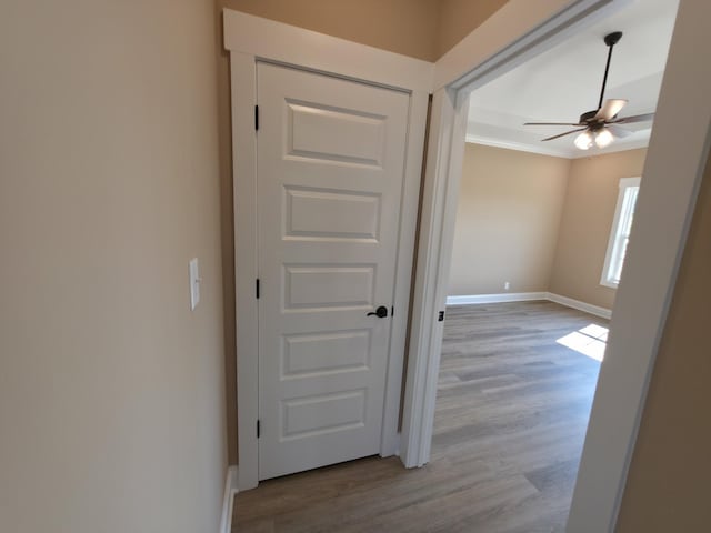 286 Turkey Crossing Ct, Clarksville, TN 37043 - photo 21