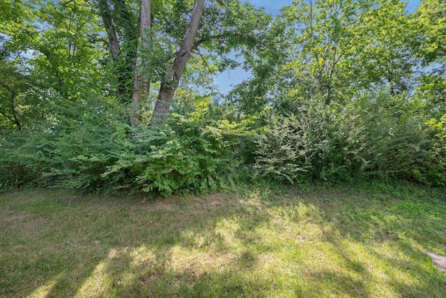 2055 Rylee Way, Greenbrier, TN 37073 - photo 35