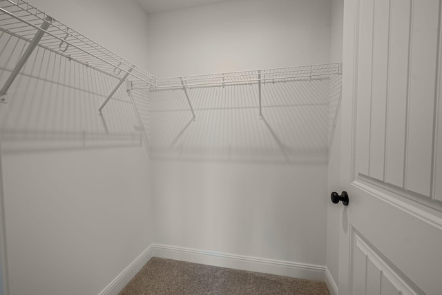 2055 Rylee Way, Greenbrier, TN 37073 - photo 27