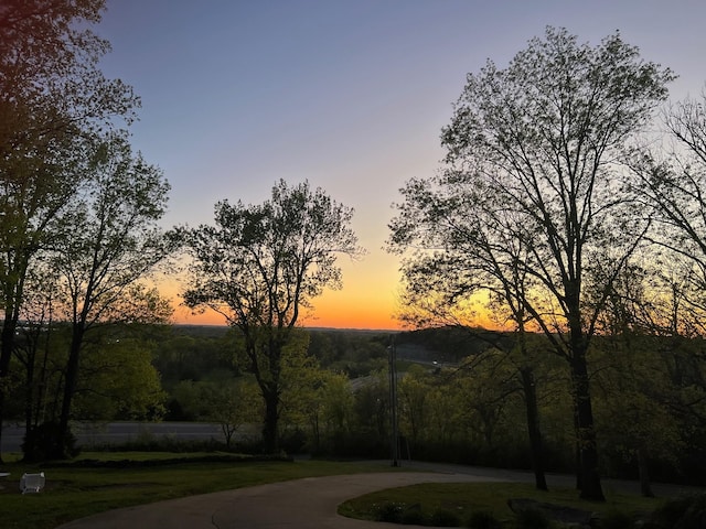 1604 Becca Ln, Columbia, TN 38401 - photo 3