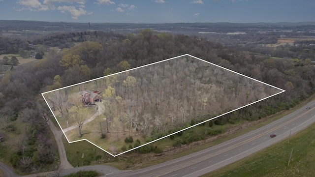 1604 Becca Ln, Columbia, TN 38401 - photo 50
