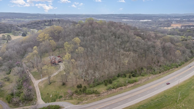 1604 Becca Ln, Columbia, TN 38401 - photo 48