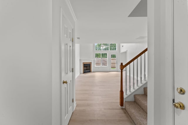 704 Heath Pl, Smyrna, TN 37167 - photo 4
