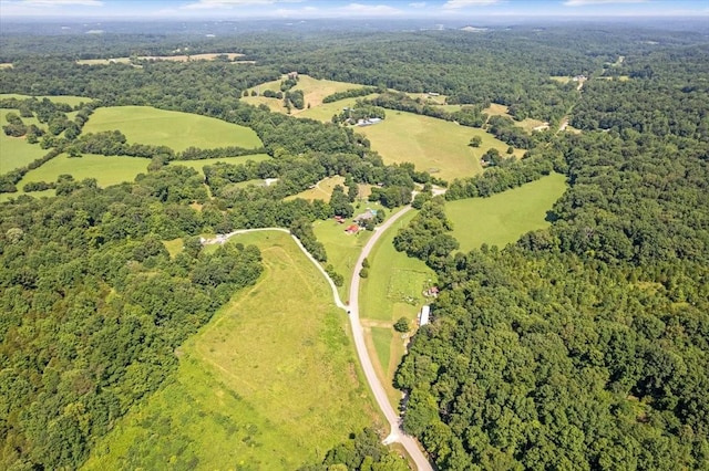 2258 Hollis Crossing Rd, Cumberland Furnace, TN 37051 - photo 8
