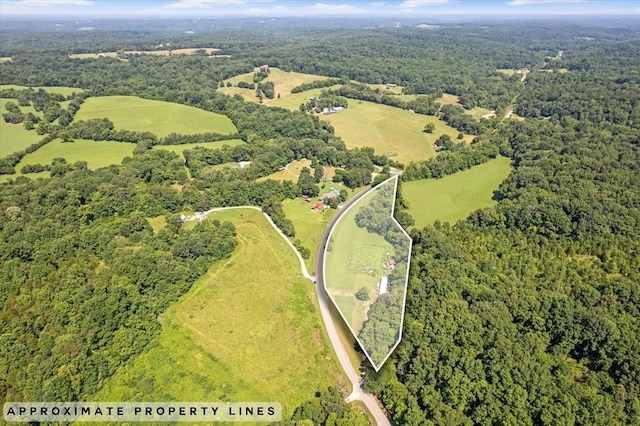 2258 Hollis Crossing Rd, Cumberland Furnace, TN 37051 - photo 1