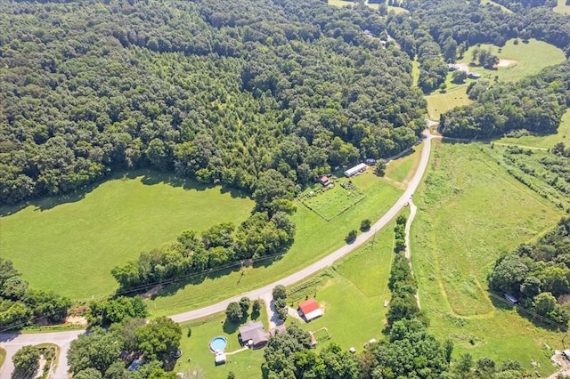 2258 Hollis Crossing Rd, Cumberland Furnace, TN 37051 - photo 10