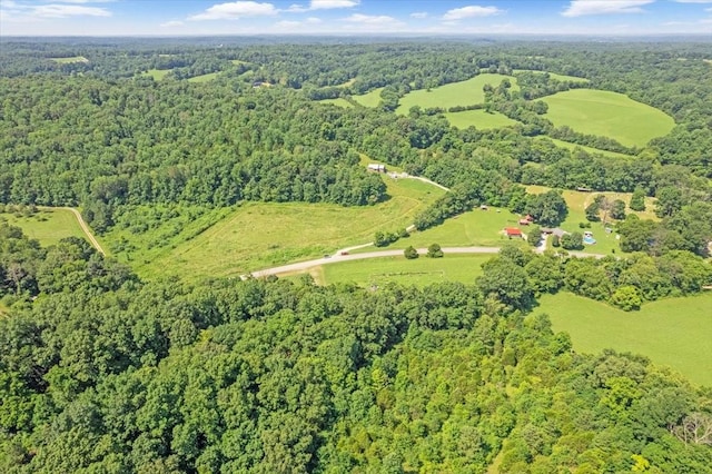 2258 Hollis Crossing Rd, Cumberland Furnace, TN 37051 - photo 3