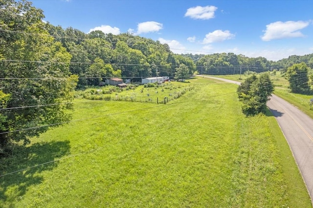 2258 Hollis Crossing Rd, Cumberland Furnace, TN 37051 - photo 4