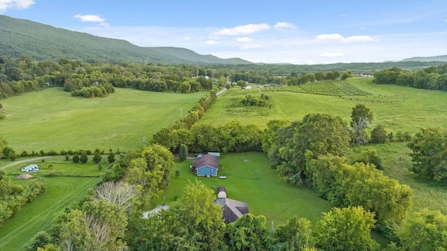 5407 Alvin York Hwy, Whitwell, TN 37397 - photo 62