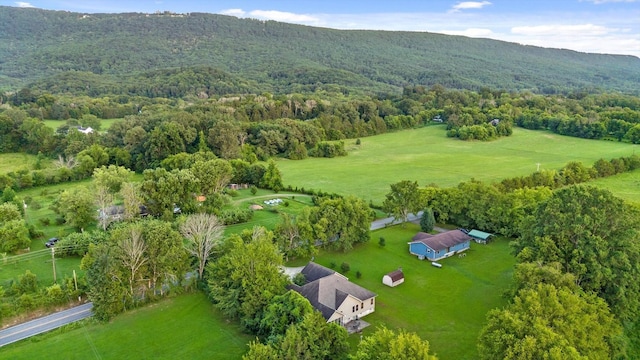 5407 Alvin York Hwy, Whitwell, TN 37397 - photo 61