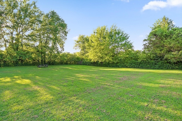 5407 Alvin York Hwy, Whitwell, TN 37397 - photo 51