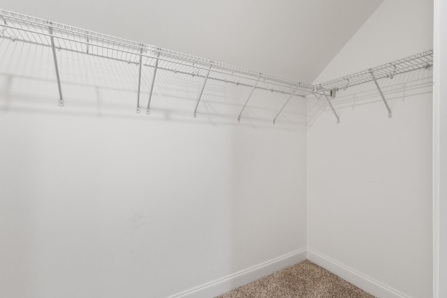 663 Faye Aly, Springfield, TN 37172 - photo 26