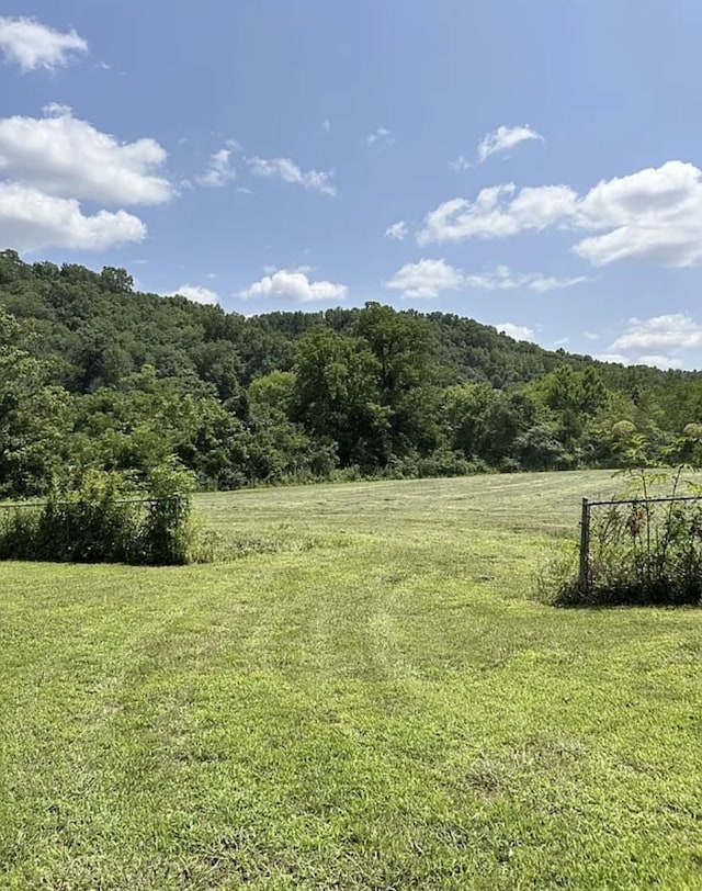 1595 Hurricane Creek Rd, Lawrenceburg, TN 38464 - photo 4